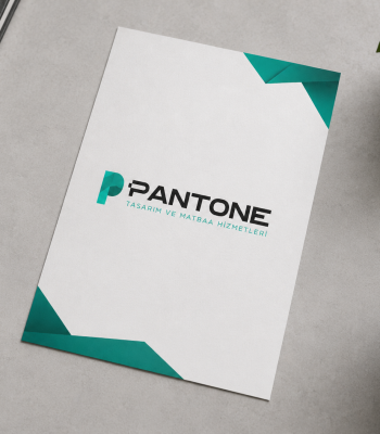 Afiş 34x49cm (105gr. Kuşe) | PANTONE Matbaa