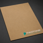 Otokopili Makbuz 20x29cm – Renkli (10 Cilt) | PANTONE Matbaa