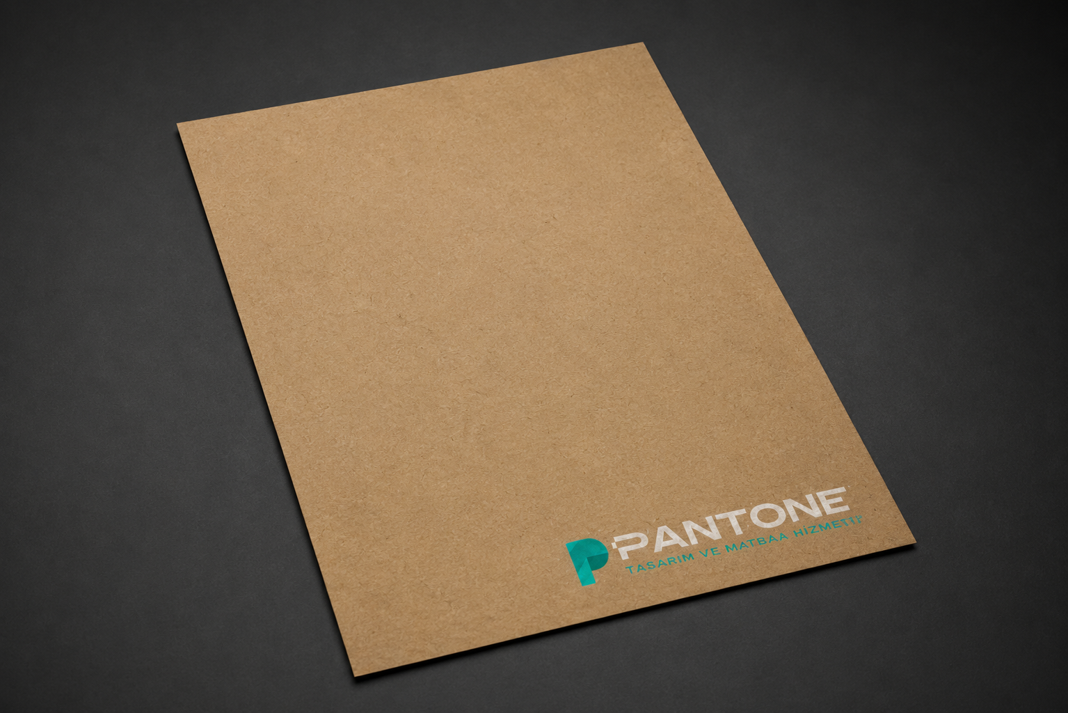 pantone-oto-paspas | PANTONE Matbaa Oto Paspas Kraft 34x49cm (3.000 Adet) | PANTONE Matbaa